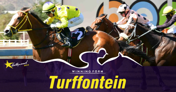 Wait For Green Light At Turffontein